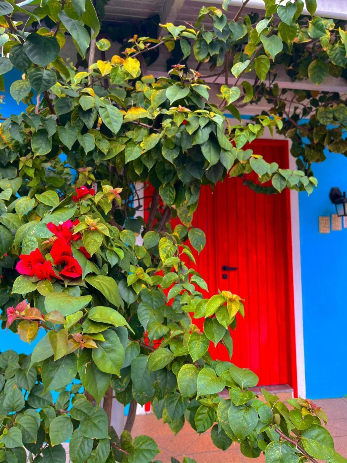 Pequi Hostel Florianópolis Kültér fotó