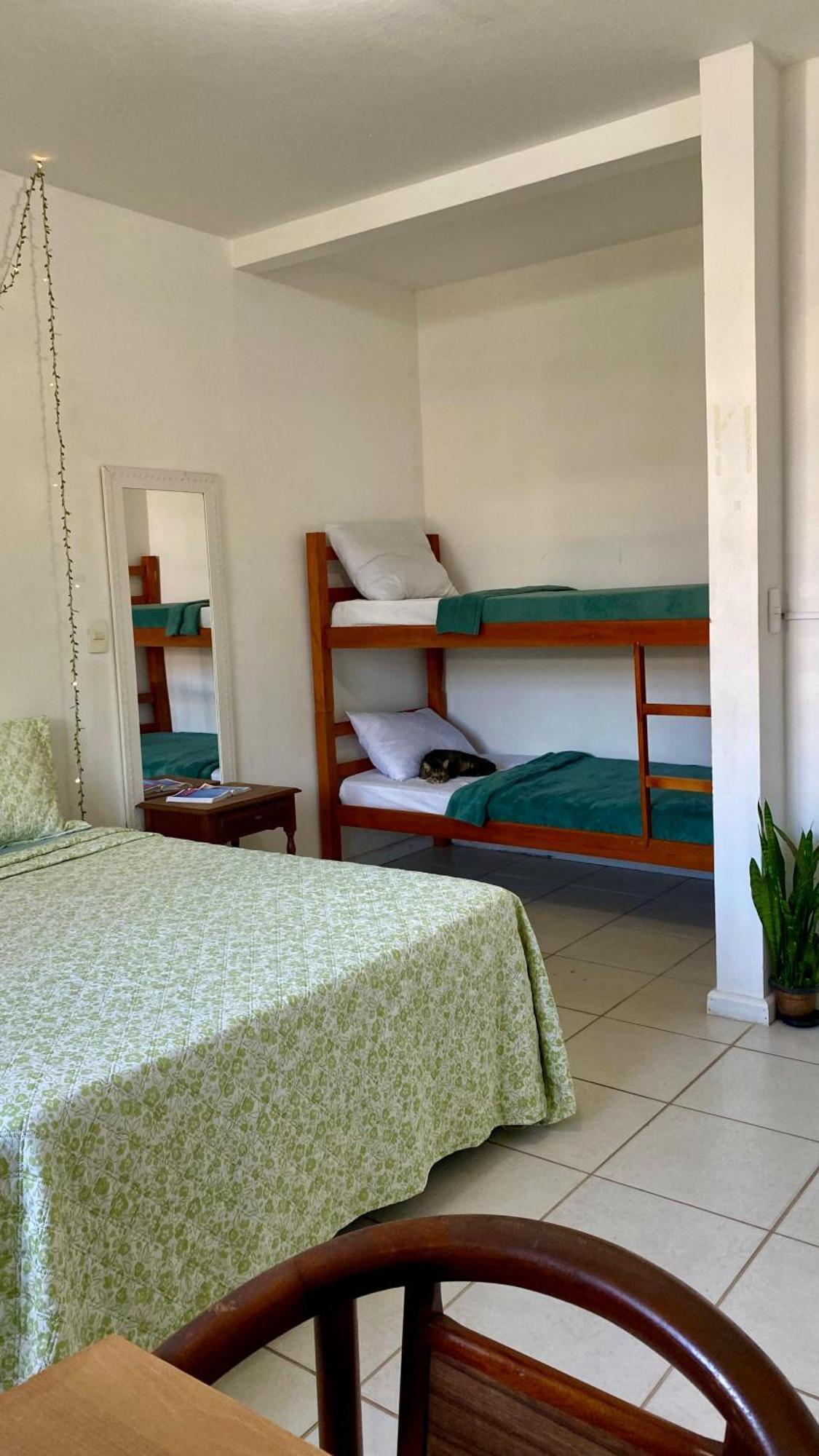 Pequi Hostel Florianópolis Kültér fotó